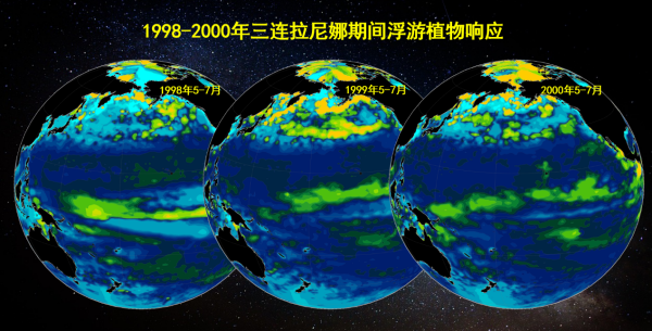 U020260526598729827734.png